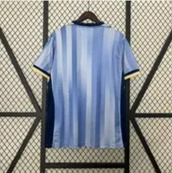 2024/2025 Tottenham Away Football Shirt Fan Version