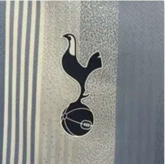 2024/2025 Tottenham Away Football Shirt Fan Version