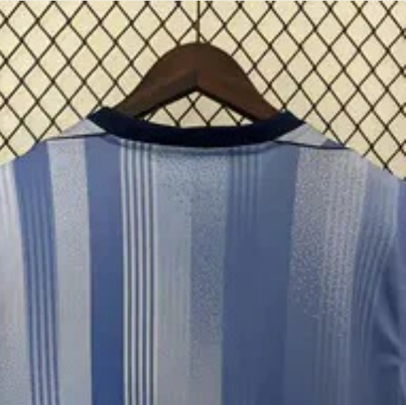 2024/2025 Tottenham Away Football Shirt Fan Version