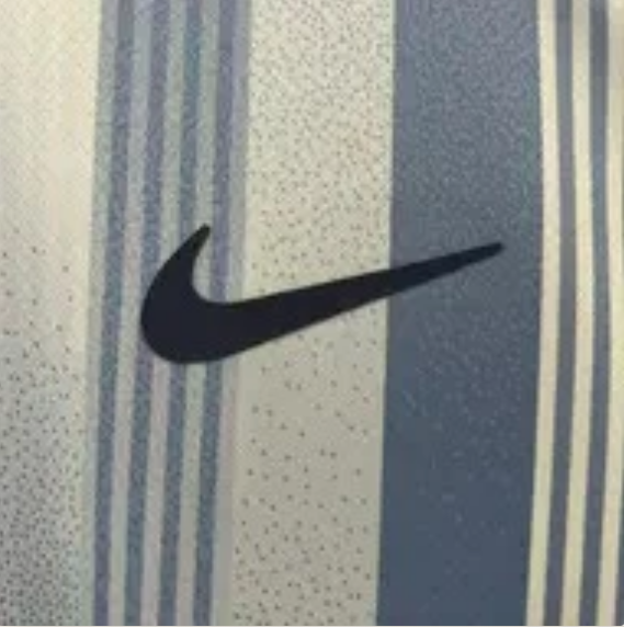 2024/2025 Tottenham Away Football Shirt Fan Version