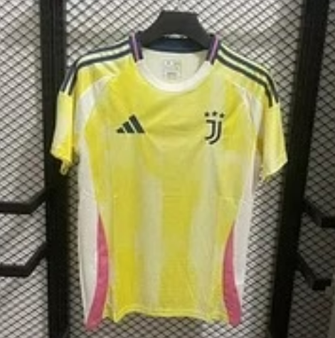 2024/2025 Juventus Away Jersey - Fan Version