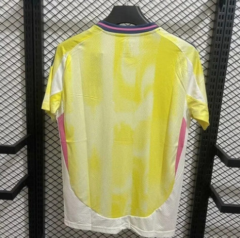 2024/2025 Juventus Away Jersey - Fan Version