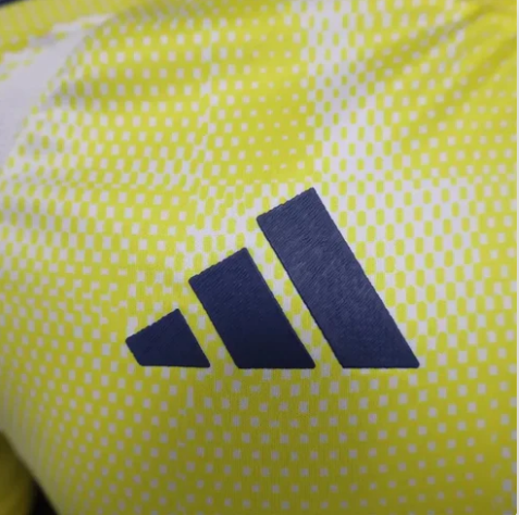 2024/2025 Juventus Away Jersey - Fan Version