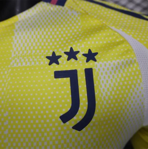 2024/2025 Juventus Away Jersey - Fan Version