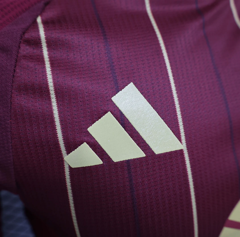 2024/2025 Player Version Roma Home Kit