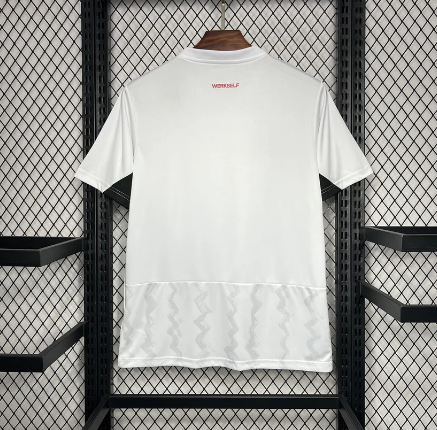 2024/25 Bayern Leverkusen away Jersey - Fan Version