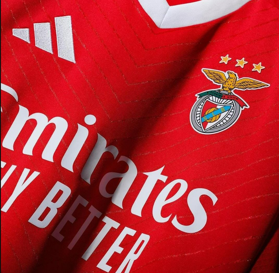 SL BENFICA 24/25 (Home Kit) - Fan Version