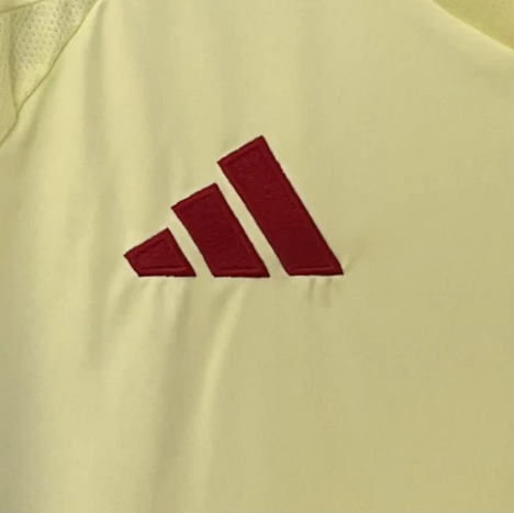 Spain 2024 Home Stadium Jersey - Fans Version